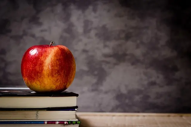Cómo elegir la mejor plataforma de educación digital para tu aula